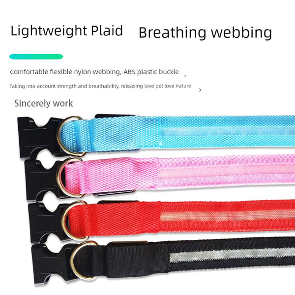 Dog Luminous Collar Fluorescent Luminous Pendant Teddy Collar Medium Large Dog Dog Collar Cat Collar Pet Supplies