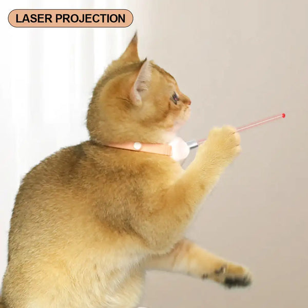 Smart Laser Tease Cat Collar Electric USB Rechargeable Pointer Kitten Automatic Toys Interactive Training Pet Accessories Goods